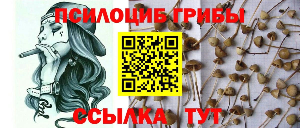 Костомукша  Галлюциногенные грибы Magic Shrooms  Вход с VPN 